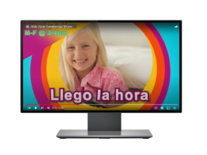 Vidaopener4